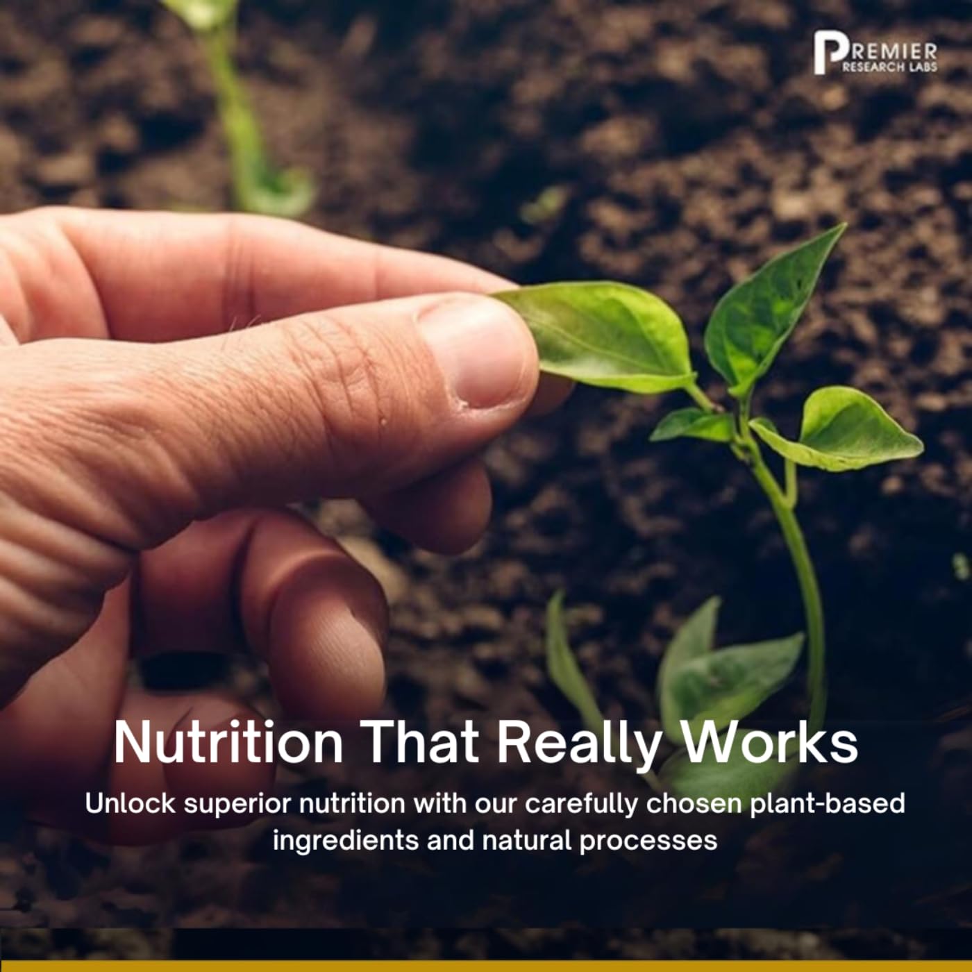 Ingredients and supplement facts label