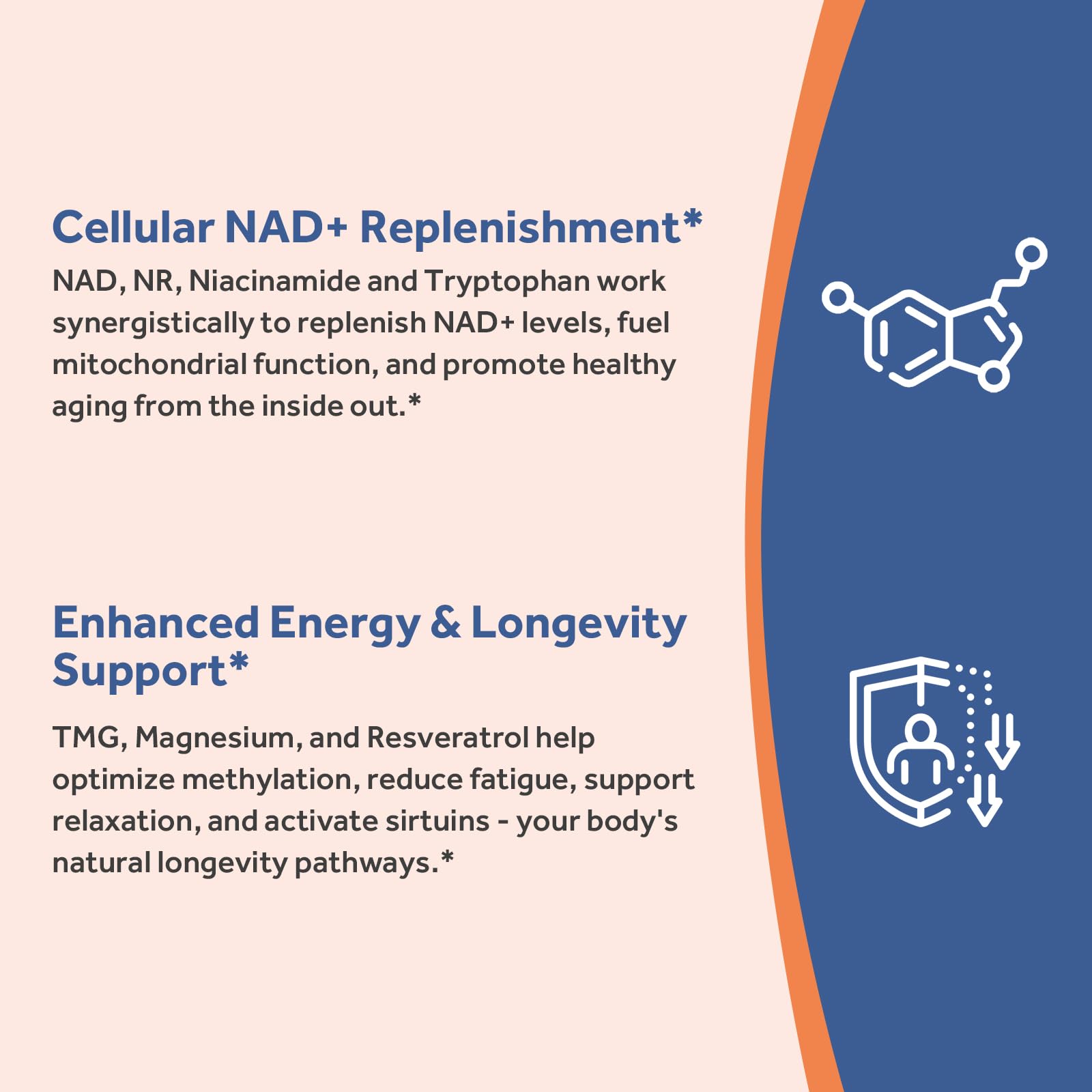Ingredients showing NAD precursors including NR and NMN