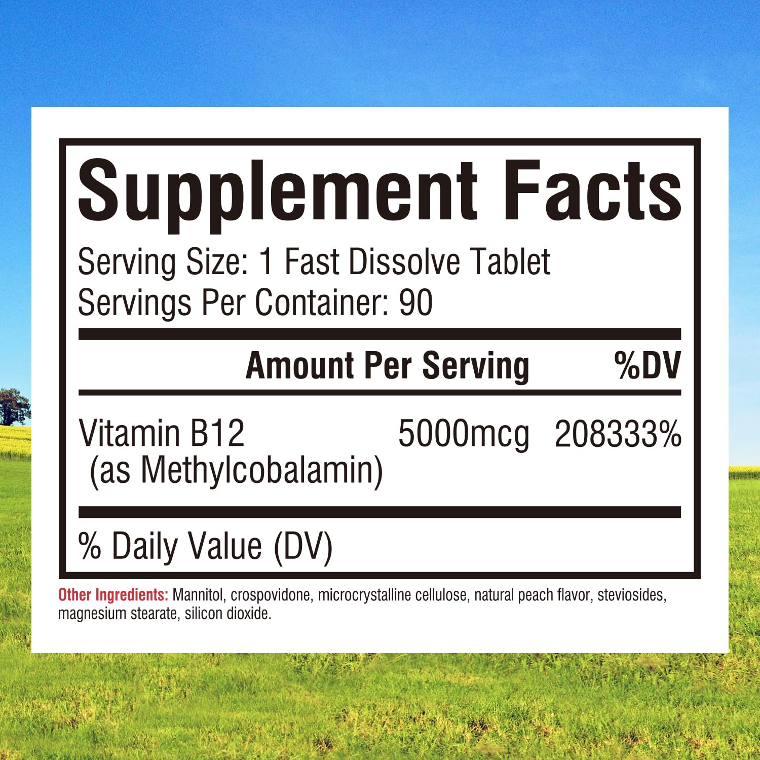 High potency methylcobalamin B12 5000mcg fast-dissolve tablet