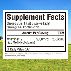 Sublingual B12 5000mcg peach flavor close-up