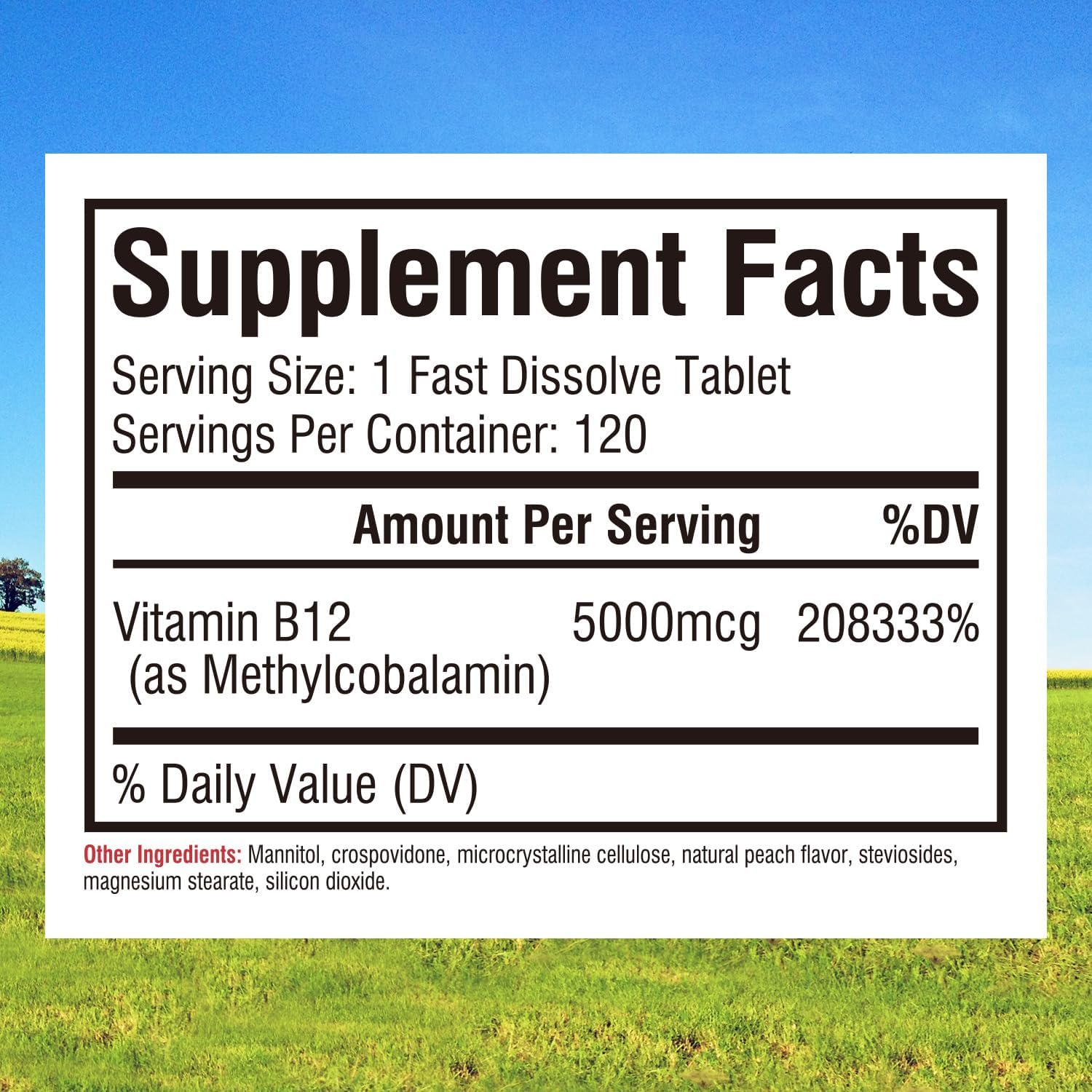 Rapid-dissolve B12 5000mcg sublingual peach-flavor tablet close-up
