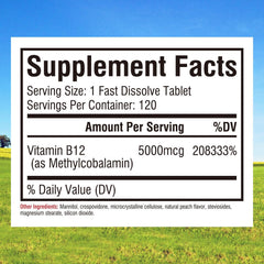 Rapid-dissolve B12 5000mcg sublingual peach-flavor tablet close-up