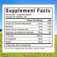 Innate Vitality capsule close-up showing smooth capsule texture and easy daily dosing benefit