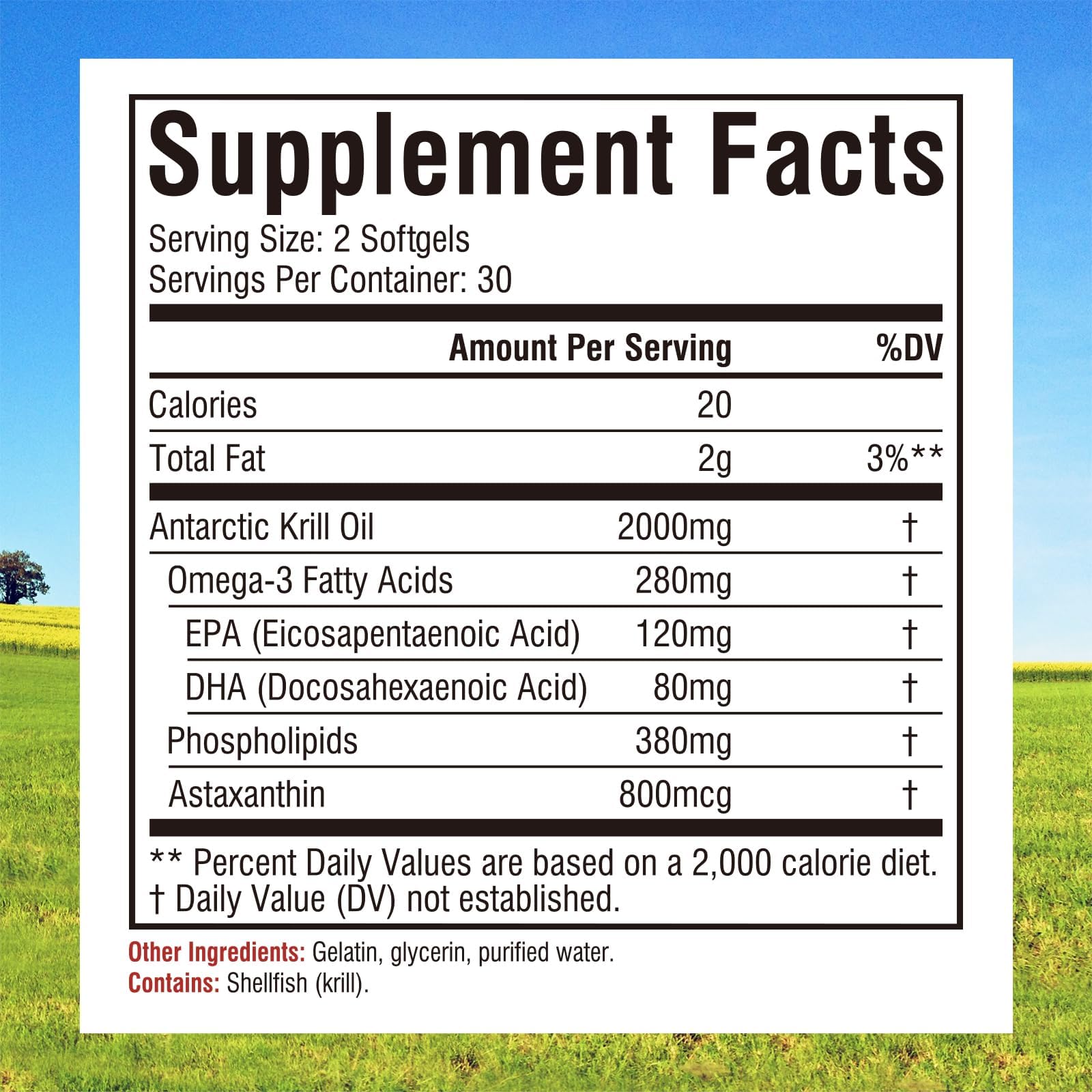 Close-up of Innate Vitality Krill Oil softgels