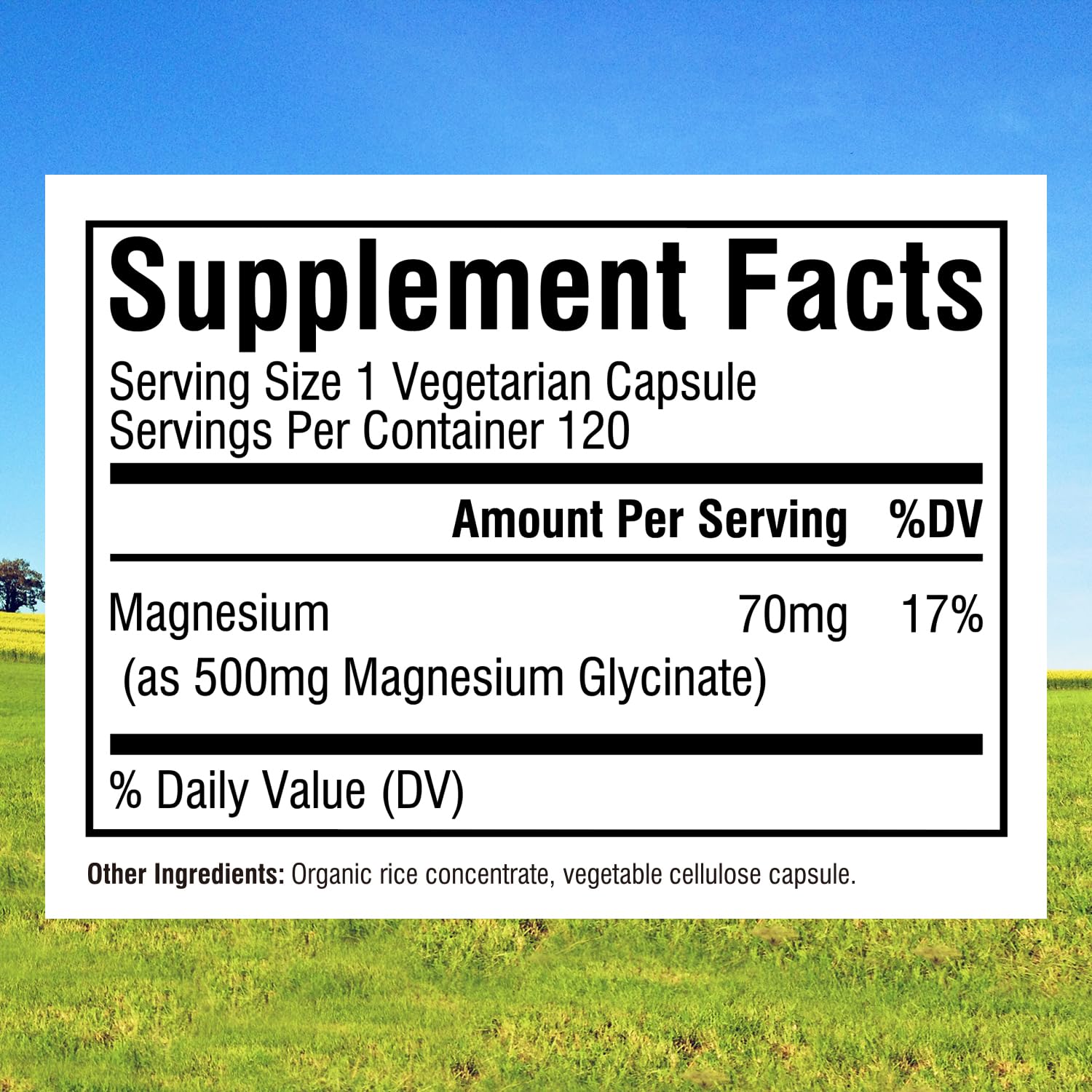 Close-up of magnesium glycinate 500mg capsules
