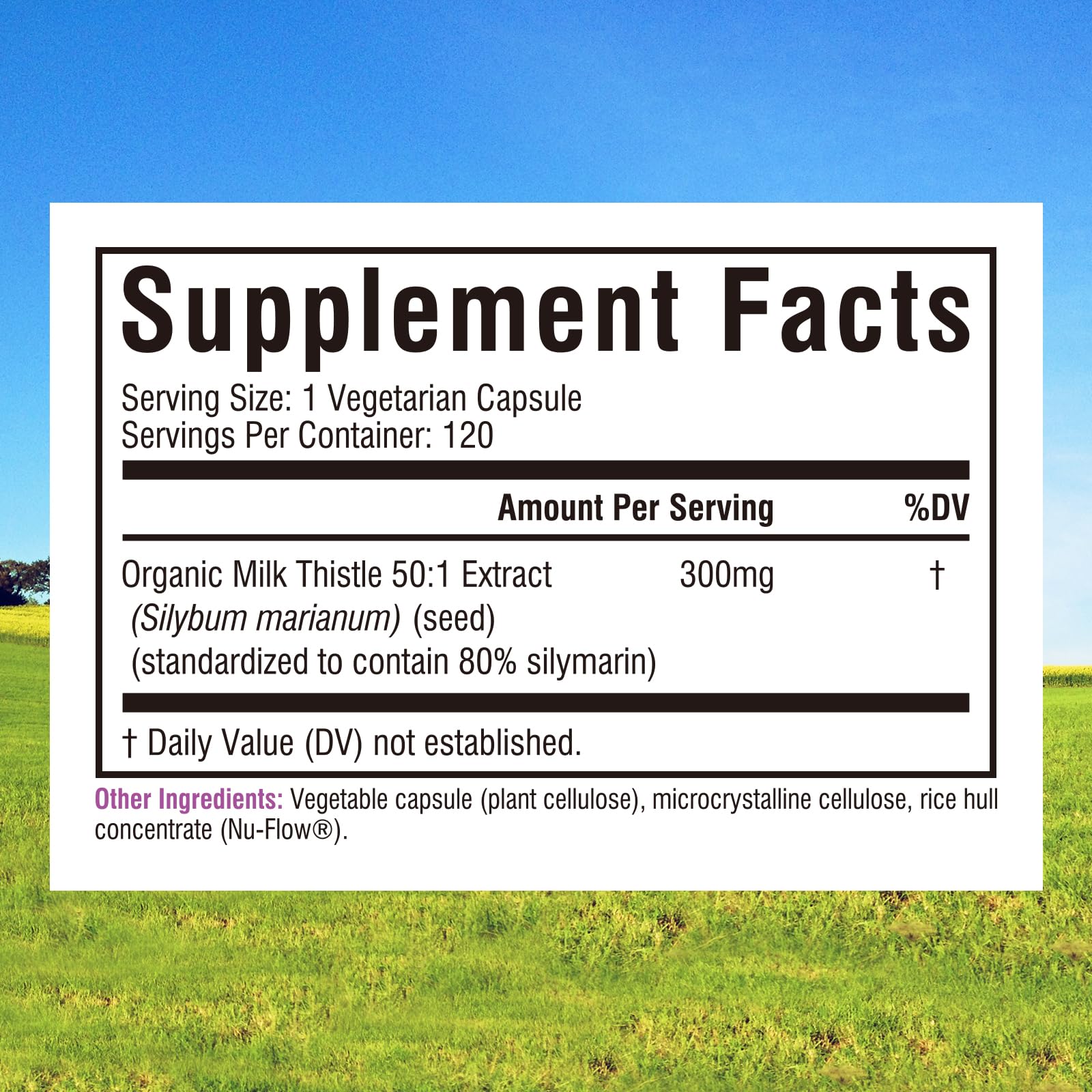 Close-up of milk thistle 50:1 extract capsule showing 80% silymarin