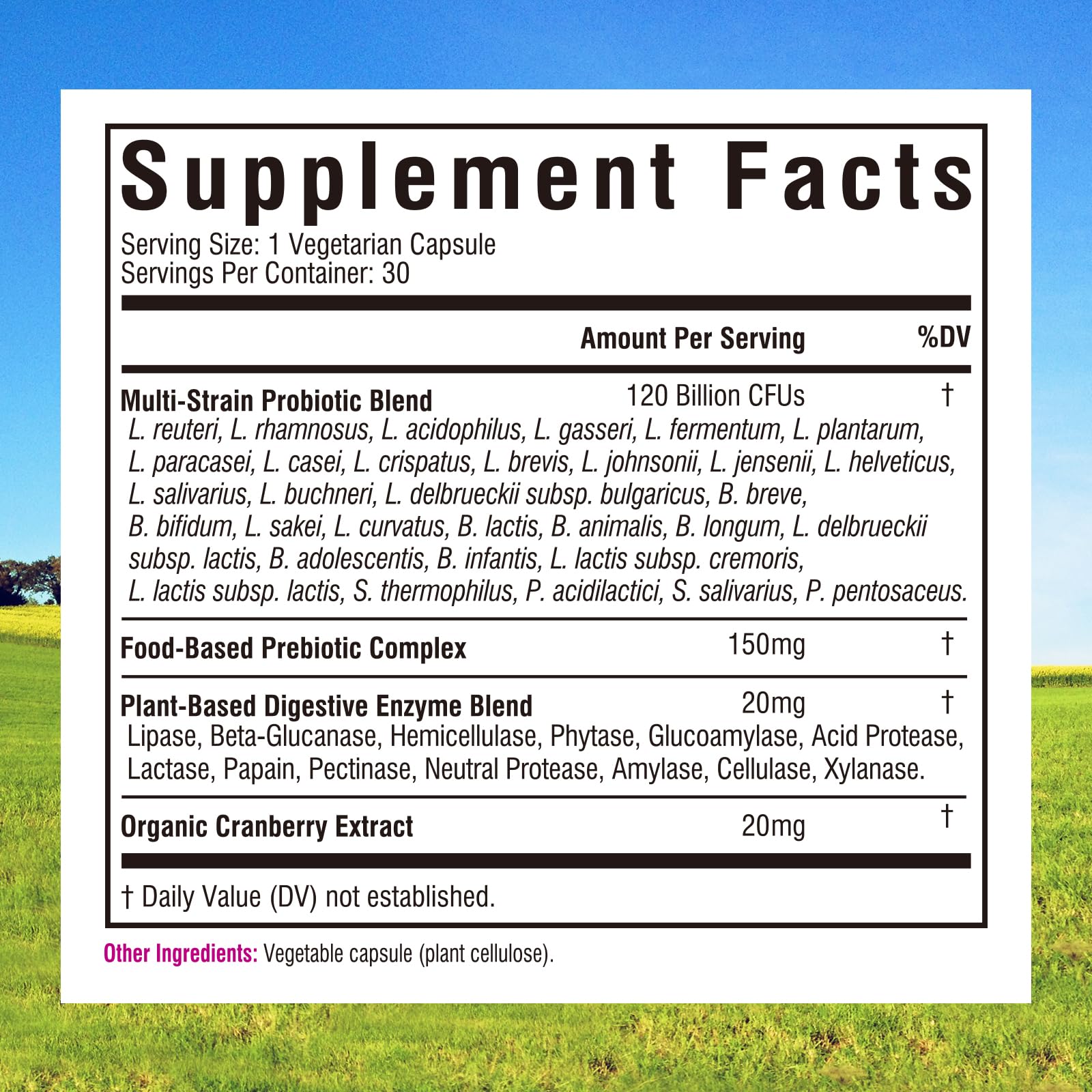 Close-up of capsule with 32 probiotic strains highlighted