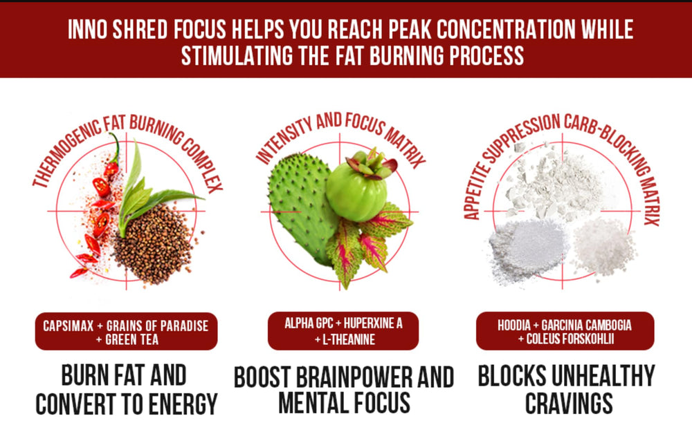 Packaging and branding of Inno Shred Focus Day Time Fat Burner