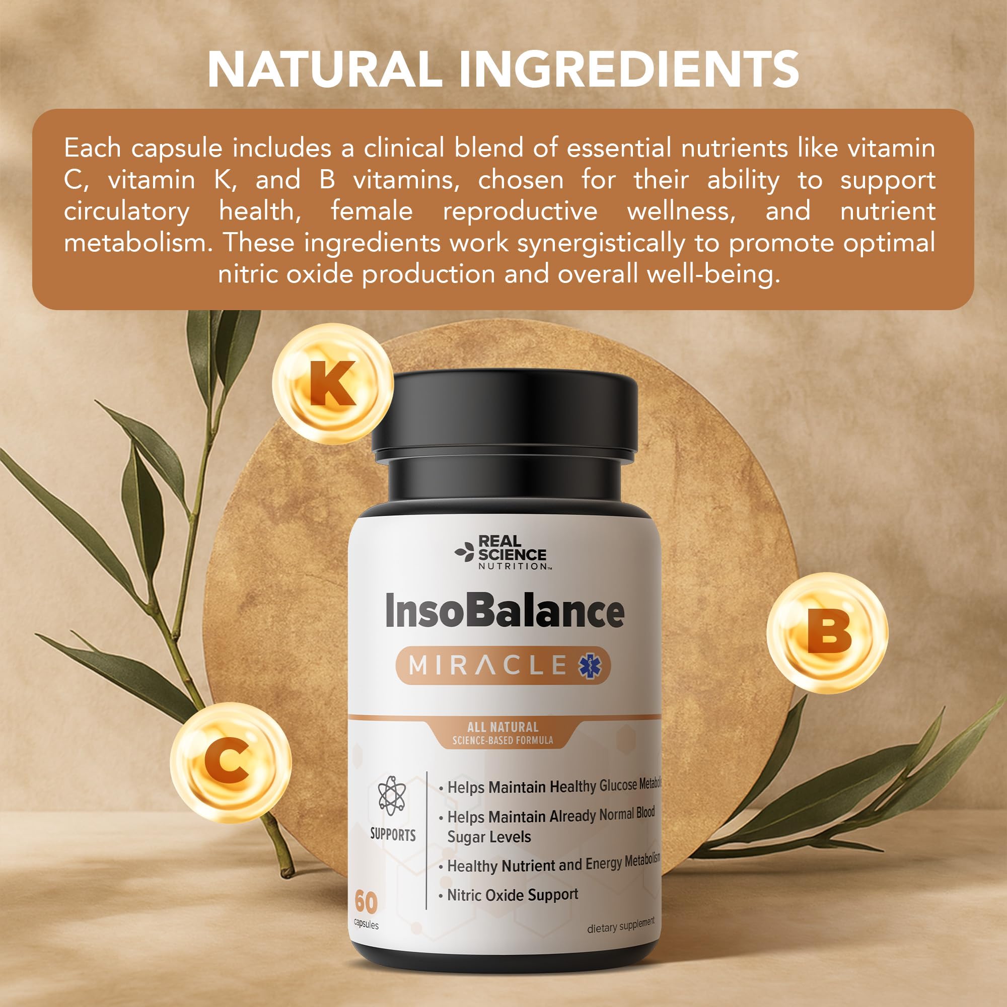 Concept of metabolic support and energy with InsoBalance