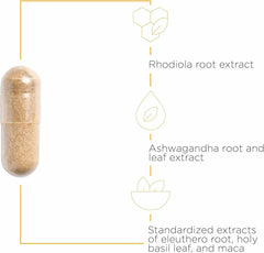 Close-up of ingredients including ashwagandha, rhodiola, eleuthero, maca and holy basil