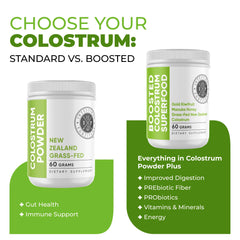 Pasture-raised New Zealand cows used for grass-fed colostrum production