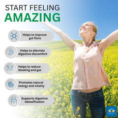 IntestinePro vegetarian capsules arranged in a row