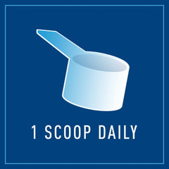 Graphic illustrating digestive health and intestinal lining