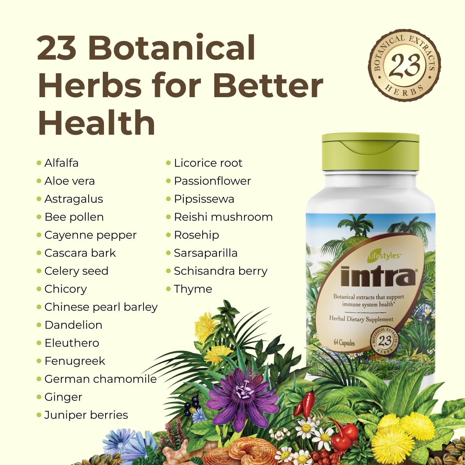 Herbal ingredients surrounding Intra Lifestyles Capsules