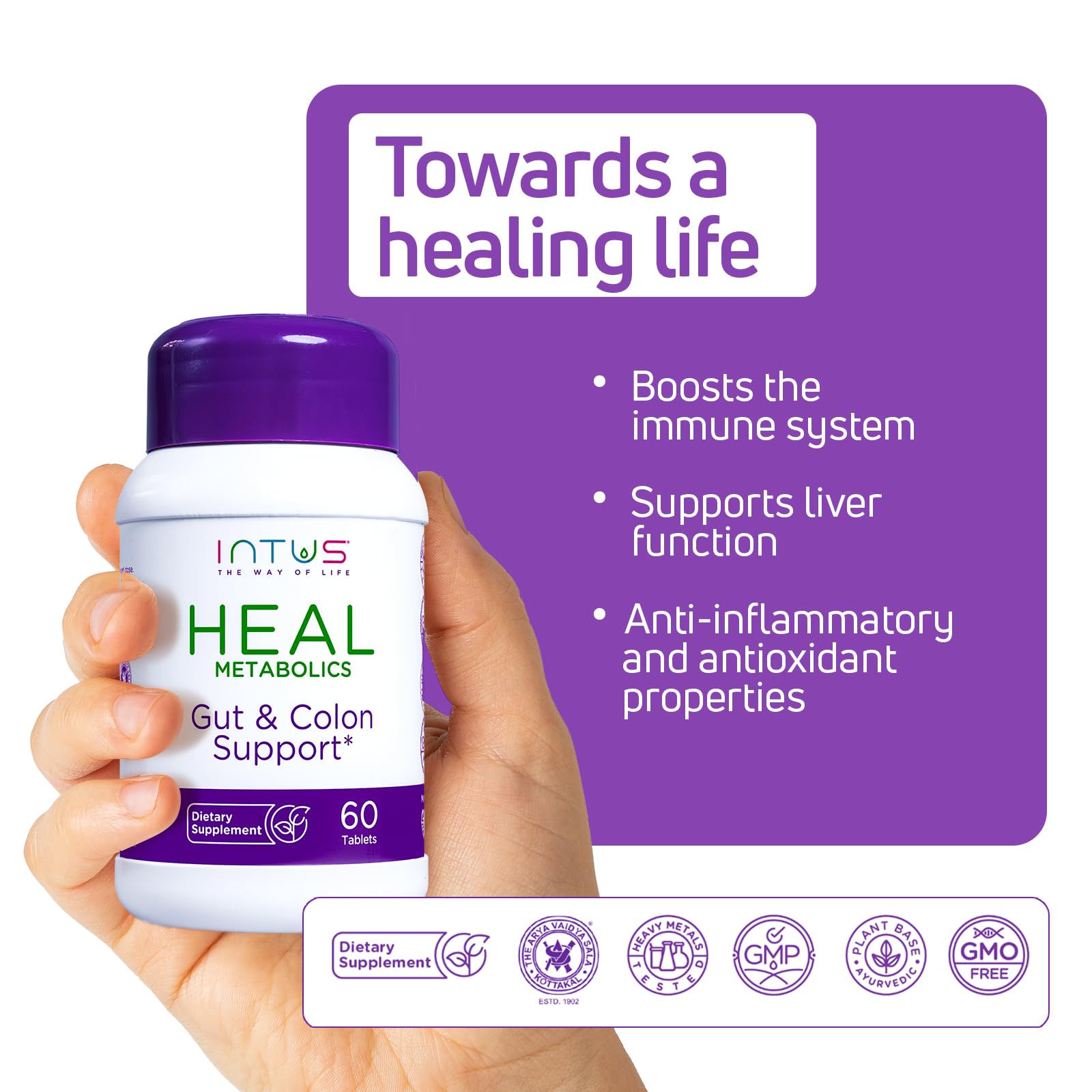 Digestive health balance illustration for Intus Heal