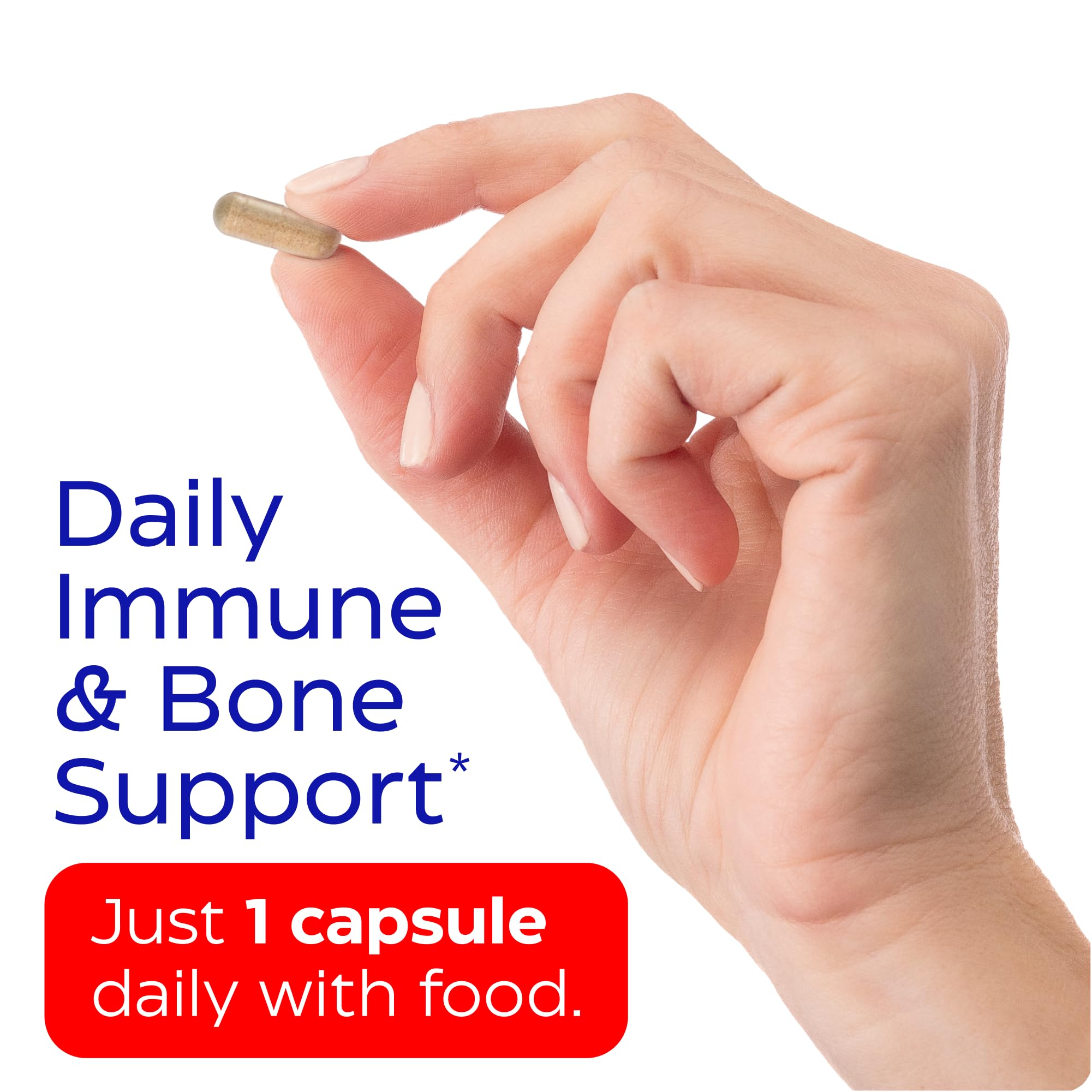 Inulin prebiotic fiber graphic