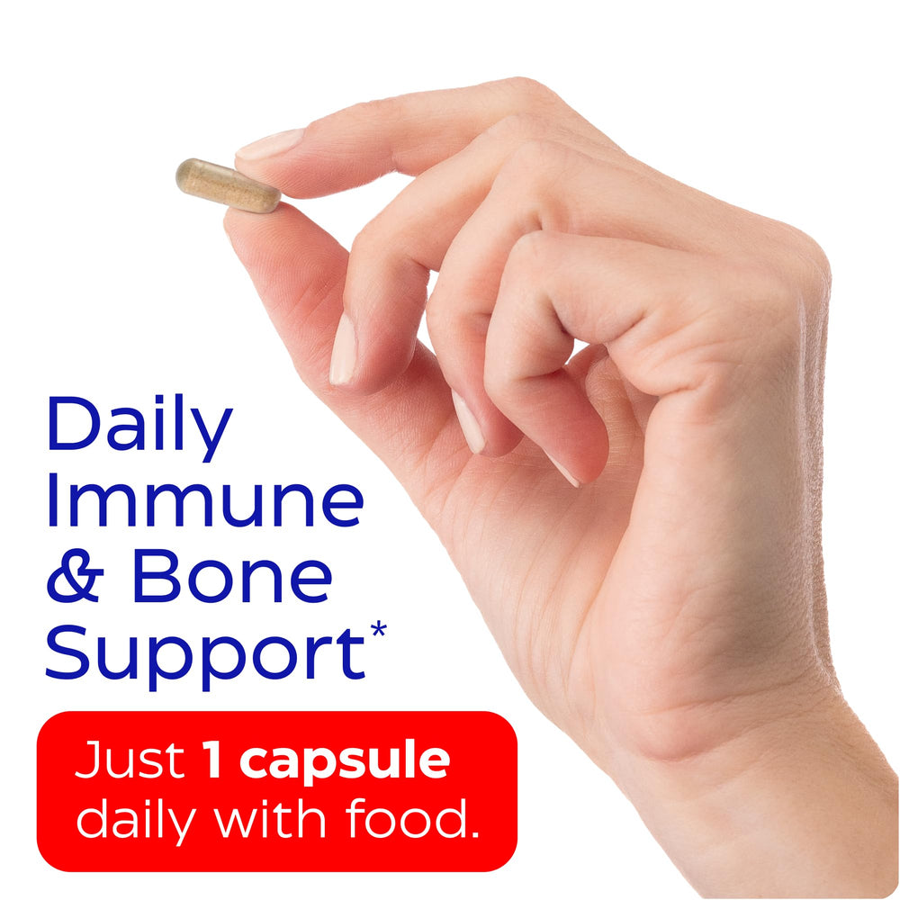 Inulin prebiotic fiber graphic