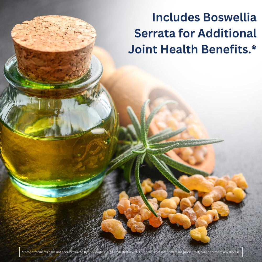 Joint support benefits graphic