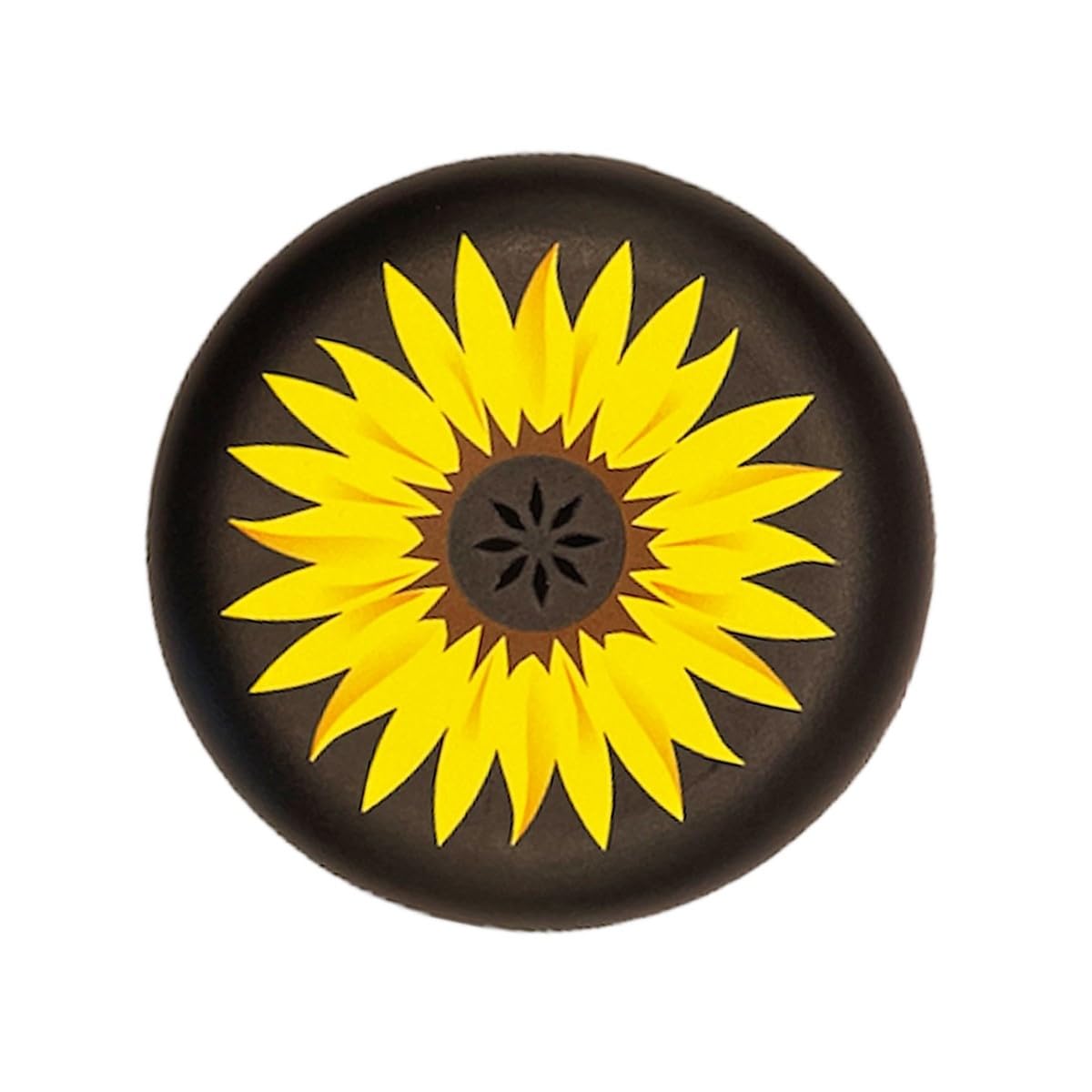 INVISALIGN SunFlower aligner and retainer case – front view