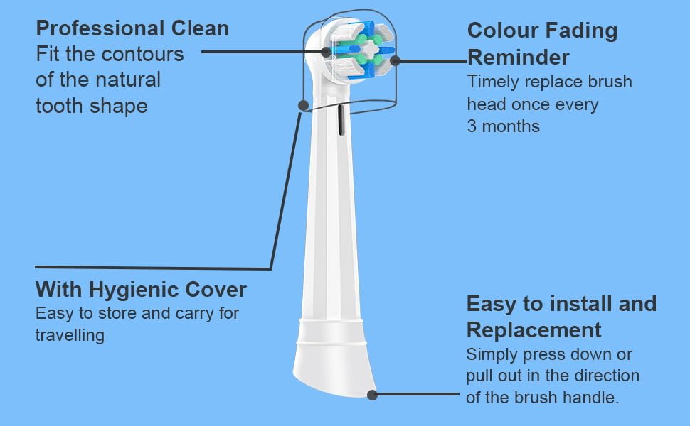 Rounded brush head designed for gentle cleaning of teeth and gums