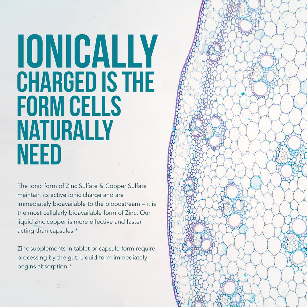 Icons representing immunity, brain, and thyroid health