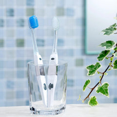 Pack of 2 IONIC KISS Wide replacement brush heads