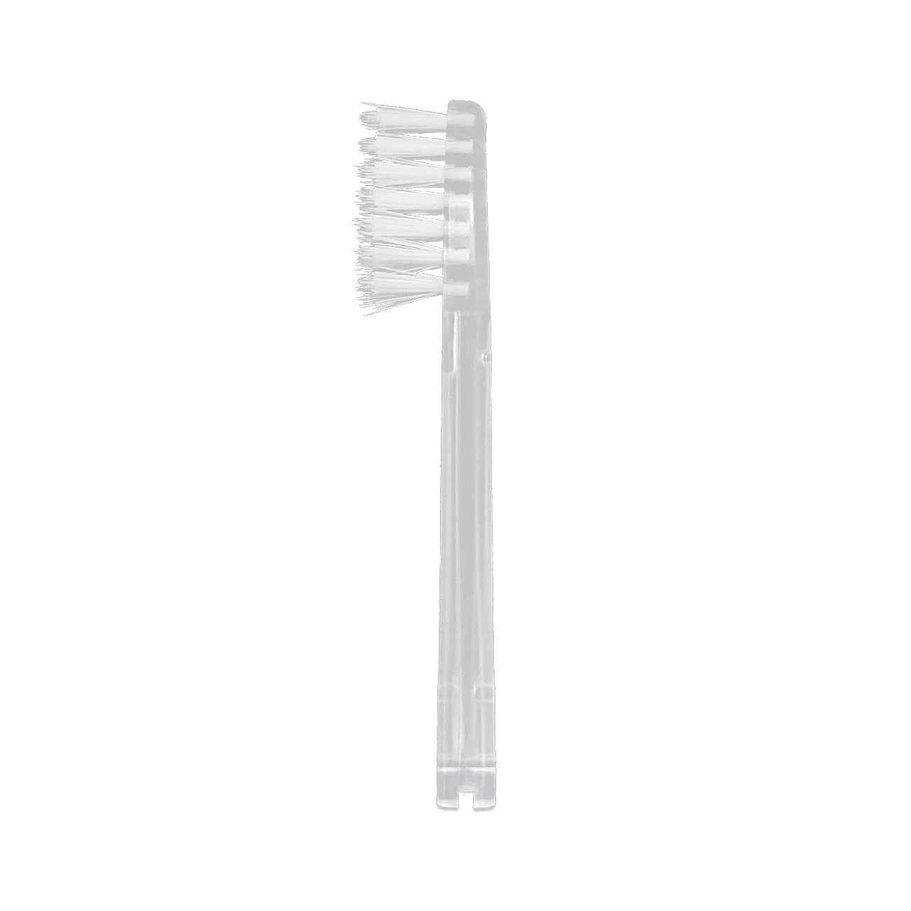 Close-up of extended filament bristles for IONPA DM head