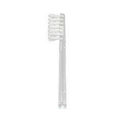 Close-up of extended filament bristles for IONPA DM head