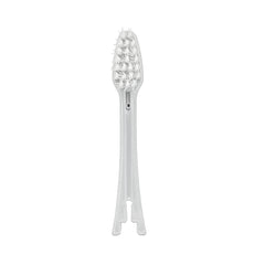 Spear-shaped brush head design for reaching back teeth