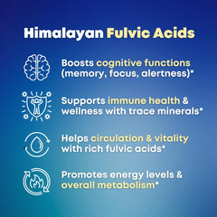 Irish Sea Moss 10:1 extract