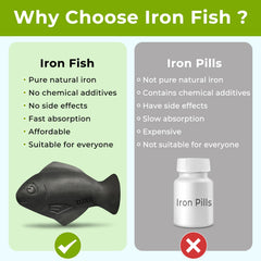 Iron-infused drinking water with Iron Fish
