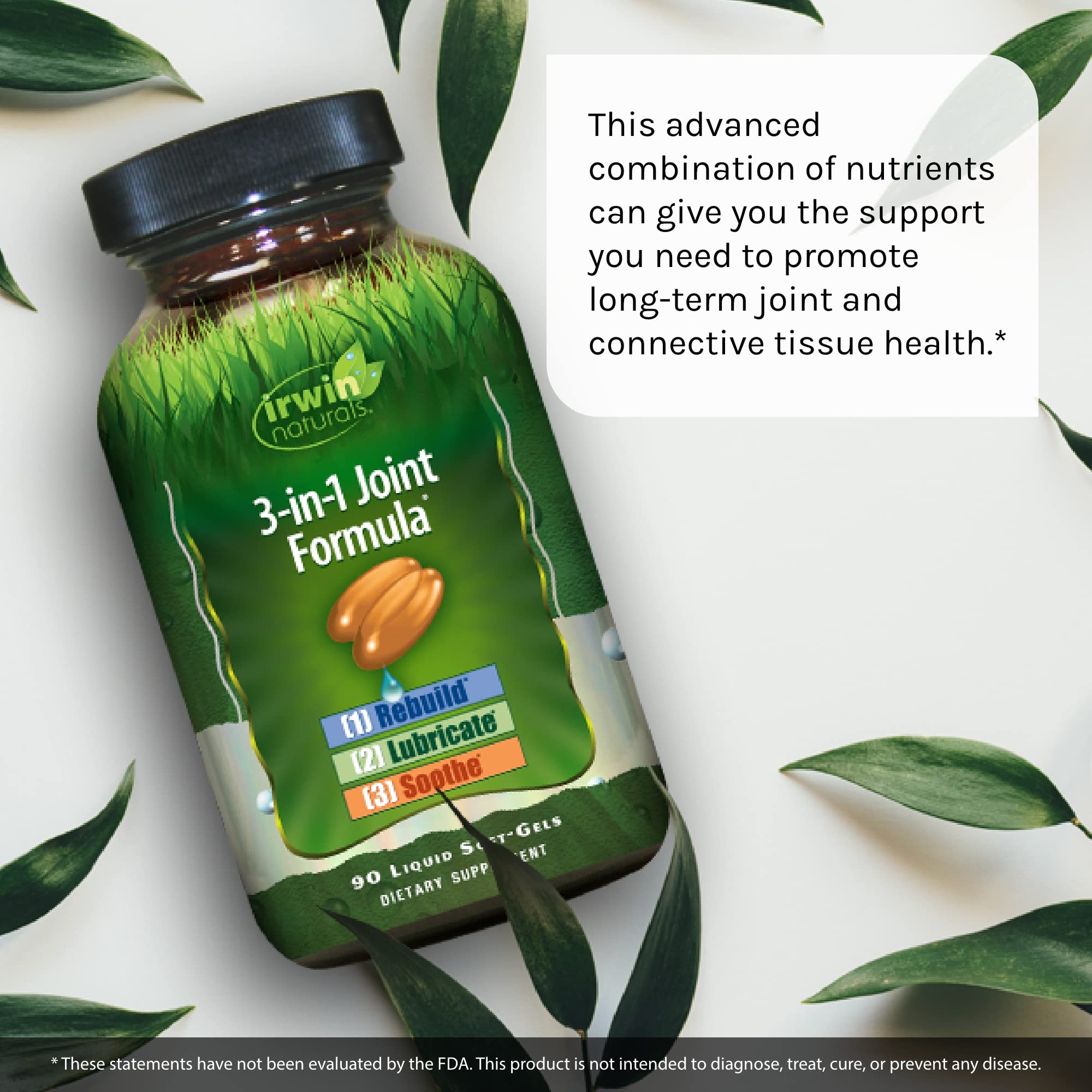 Omega-3 and botanical extracts icons for joint health