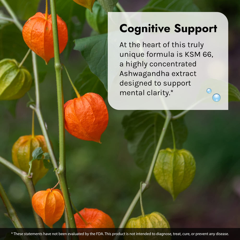 KSM-66 Ashwagandha extract potency illustration