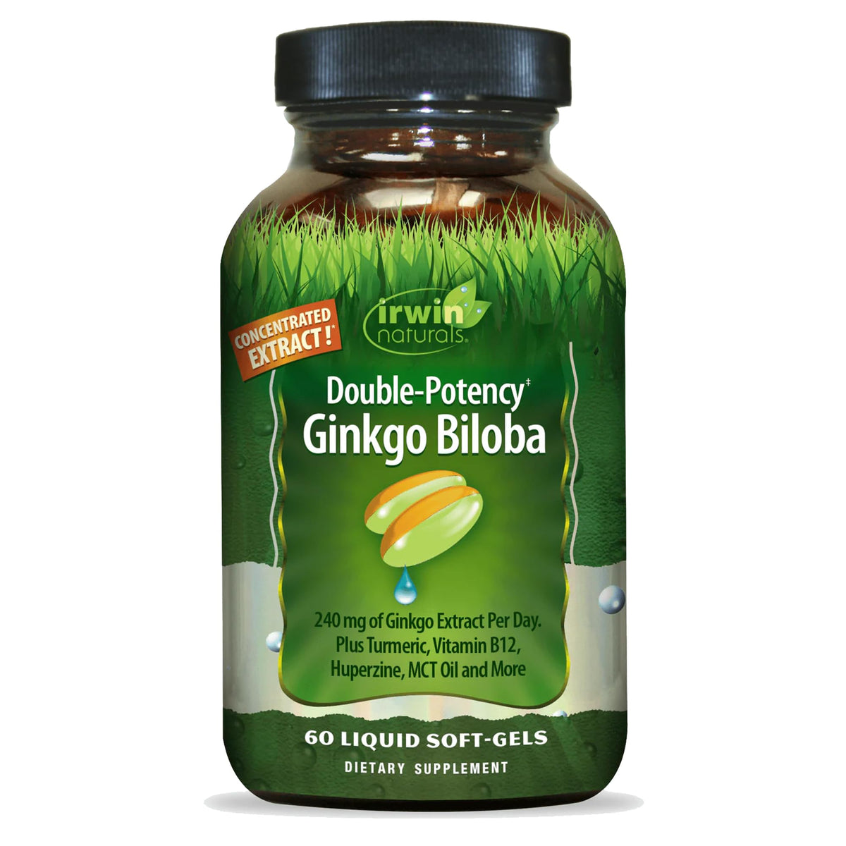 Irwin Naturals Double-Potency Ginkgo Biloba 60 Softgels - brain health, memory and focus