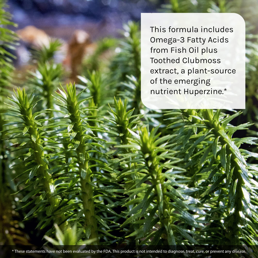 Ginkgo Biloba and DMAE ingredients on label