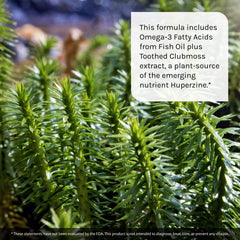 Ginkgo Biloba and DMAE ingredients on label