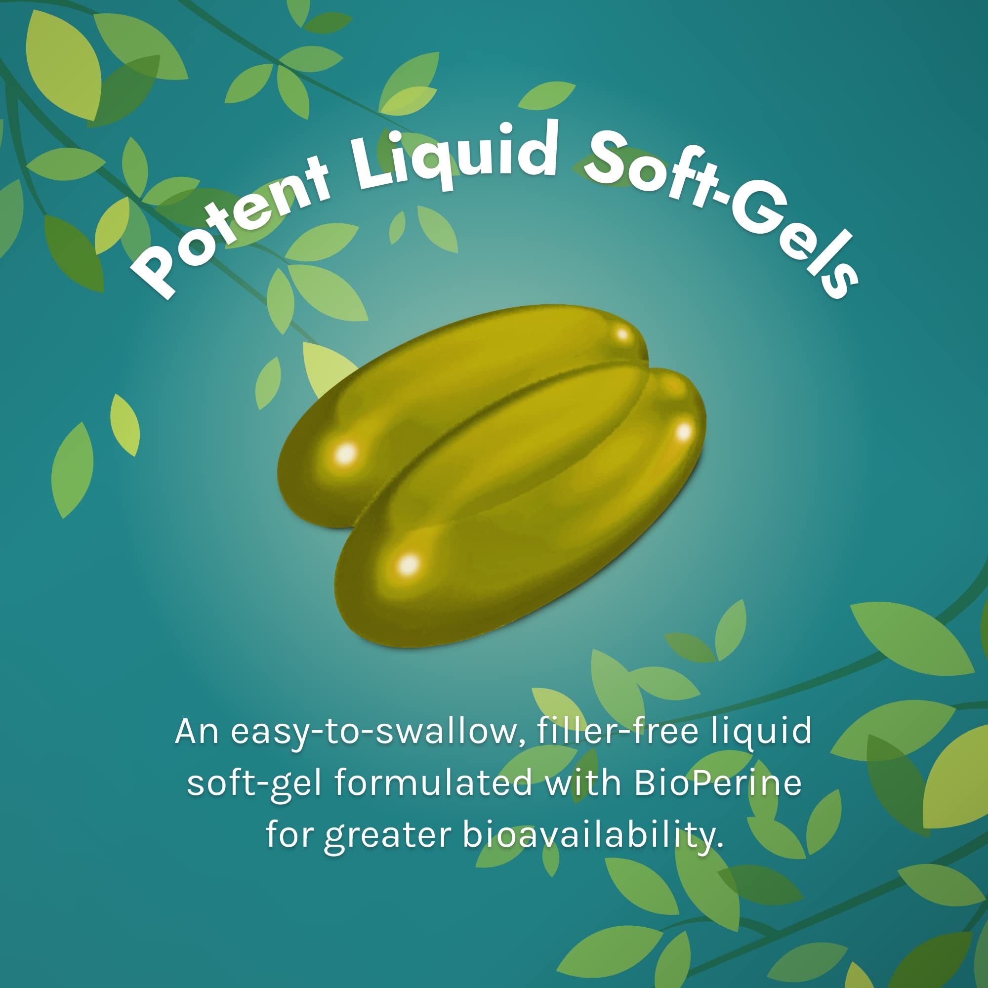 Irwin Naturals Ginkgo Smart packaging on white background