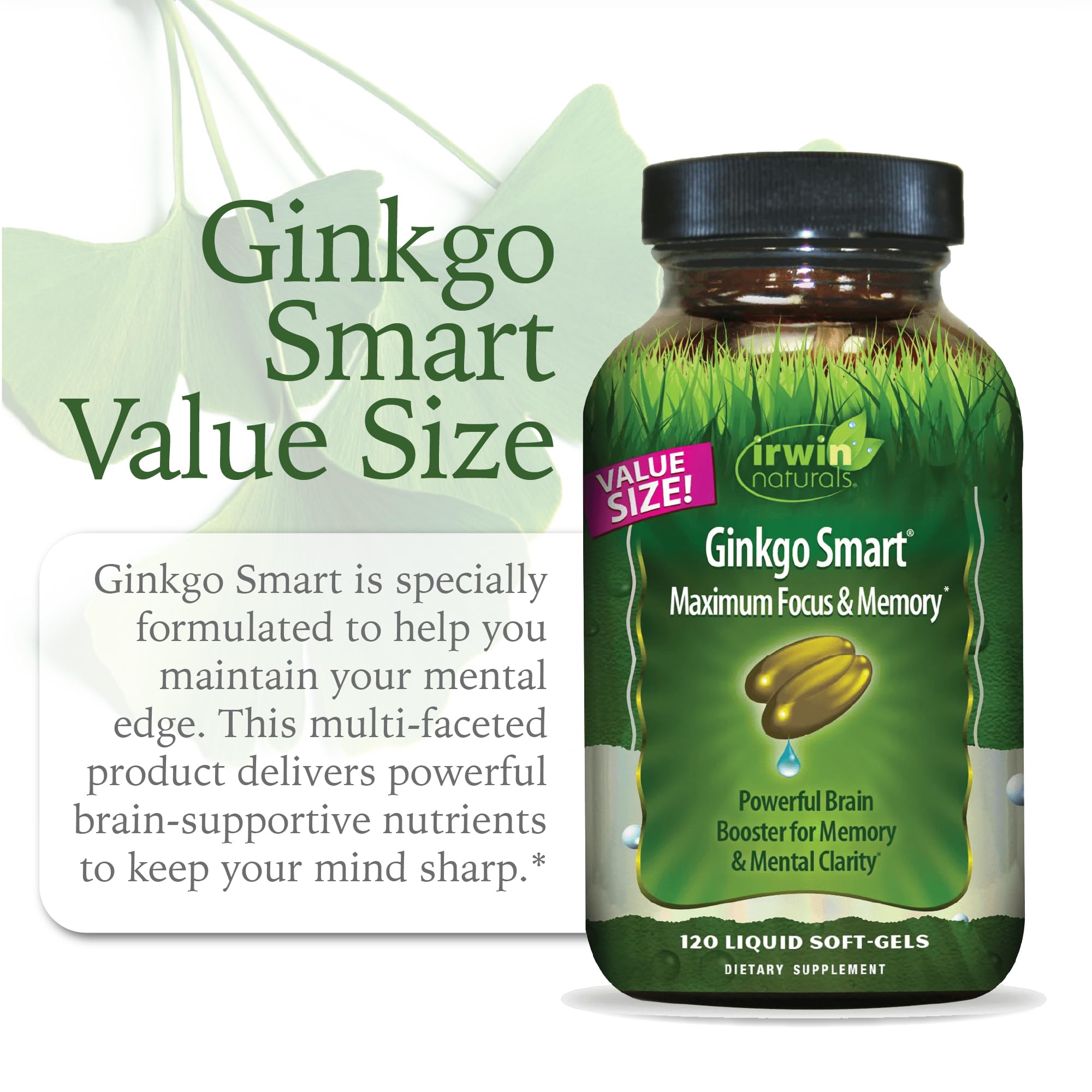 Illustration of Ginkgo Smart ingredients including acetyl-L-carnitine and DMAE