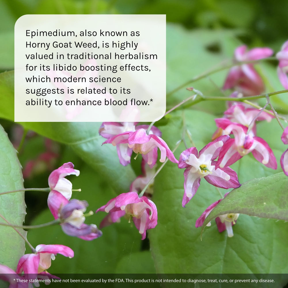 60 soft-gels bottle design and branding