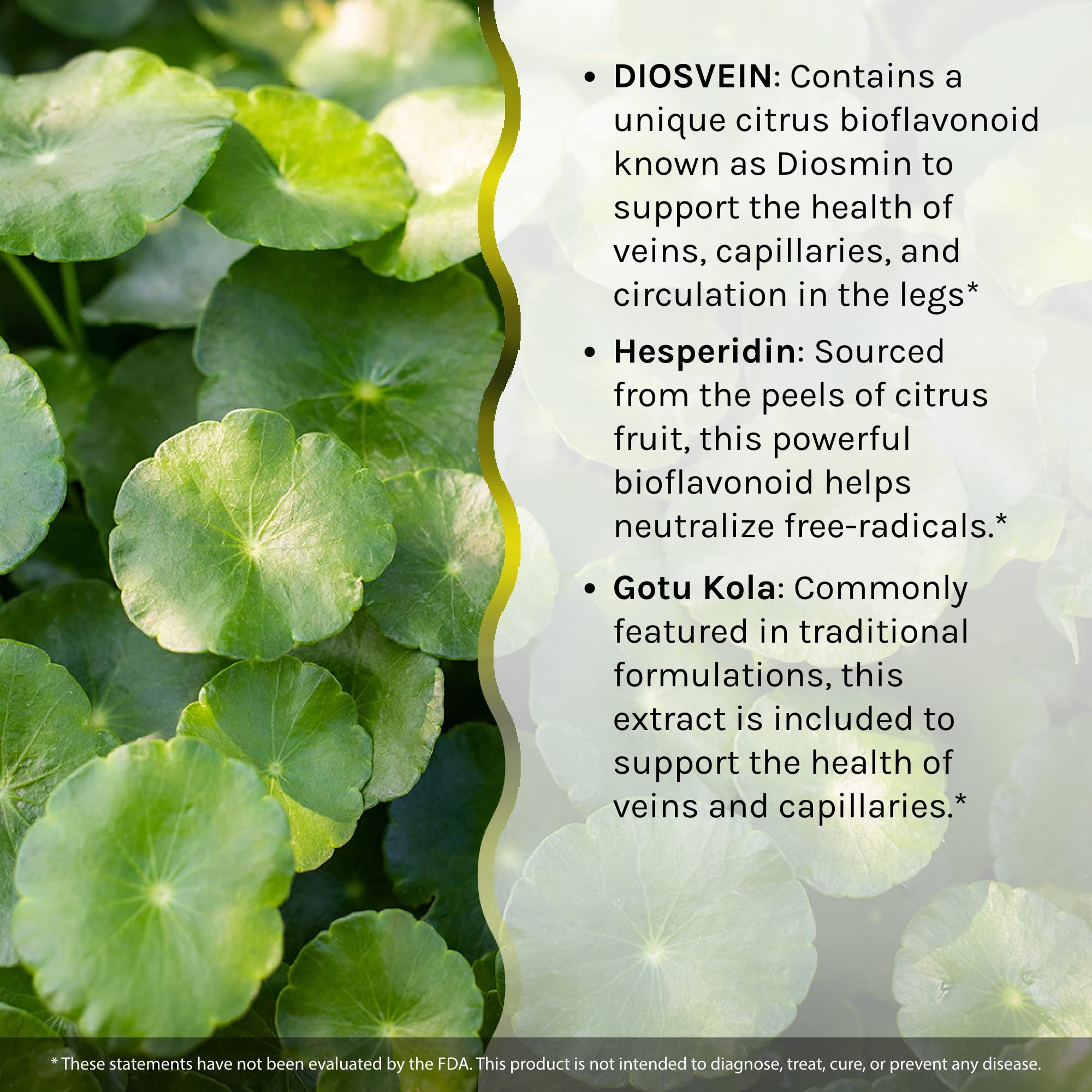 Bioperine delivery system in Love My Legs