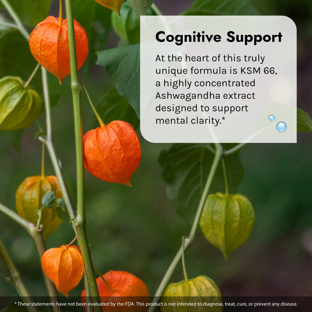 Phosphatidylserine and vitamin B12 for memory support