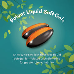 Front label of Irwin Naturals Power to Sleep PM bottle