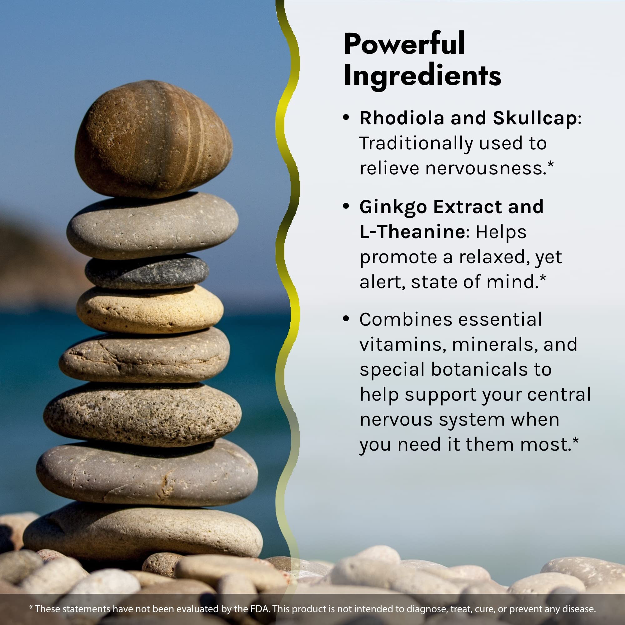 Graphic highlighting Rhodiola, L-Theanine, Skullcap and Ginkgo