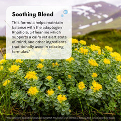 Front view of Irwin Naturals Sunny Mood bottle and box