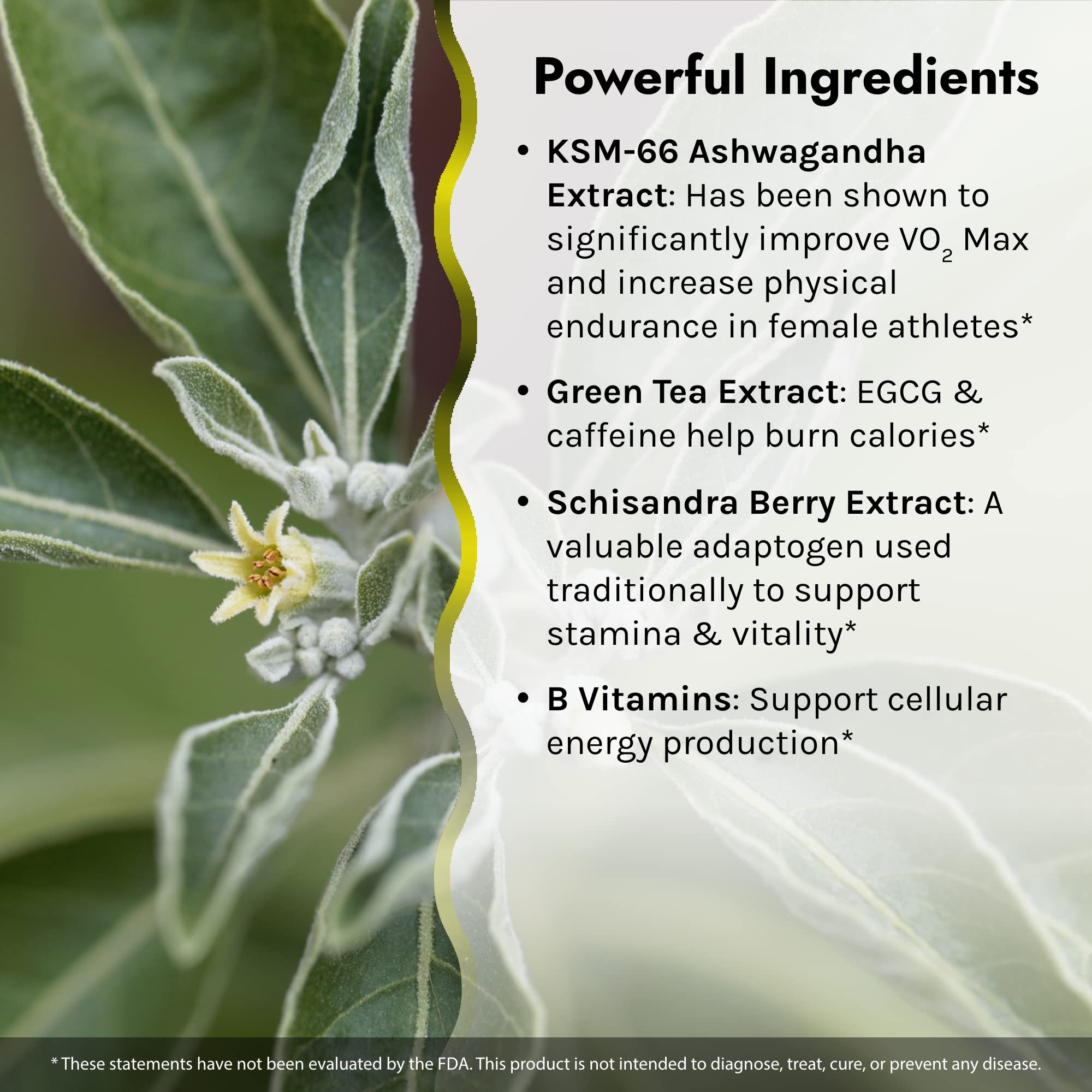 Irwin Naturals V02 Max Fat Burner bottle and packaging on white