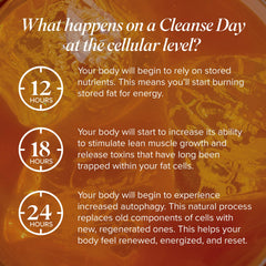 Isagenix Cleanse for Life peach mango ingredient-panel highlights vitamins and antioxidants