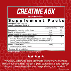 Graphic showing the 5-phase creatine powder blend