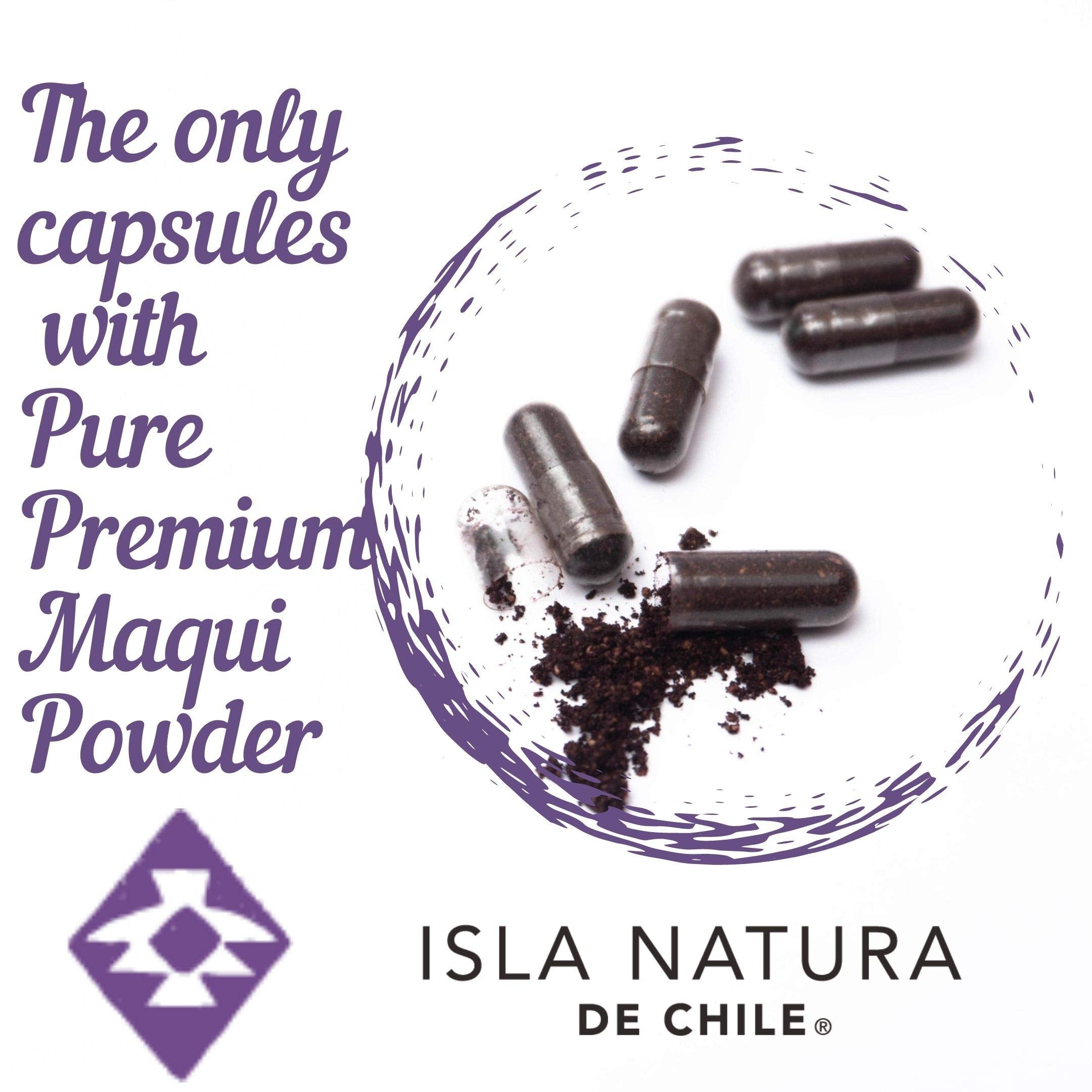 Freeze-dried maqui powder in a scoop