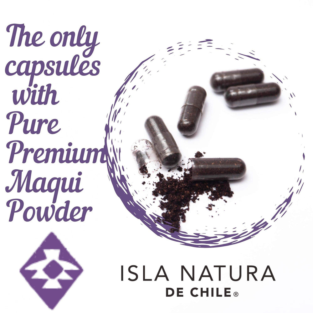 Freeze-dried maqui powder in a scoop