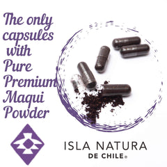 Freeze-dried maqui powder in a scoop